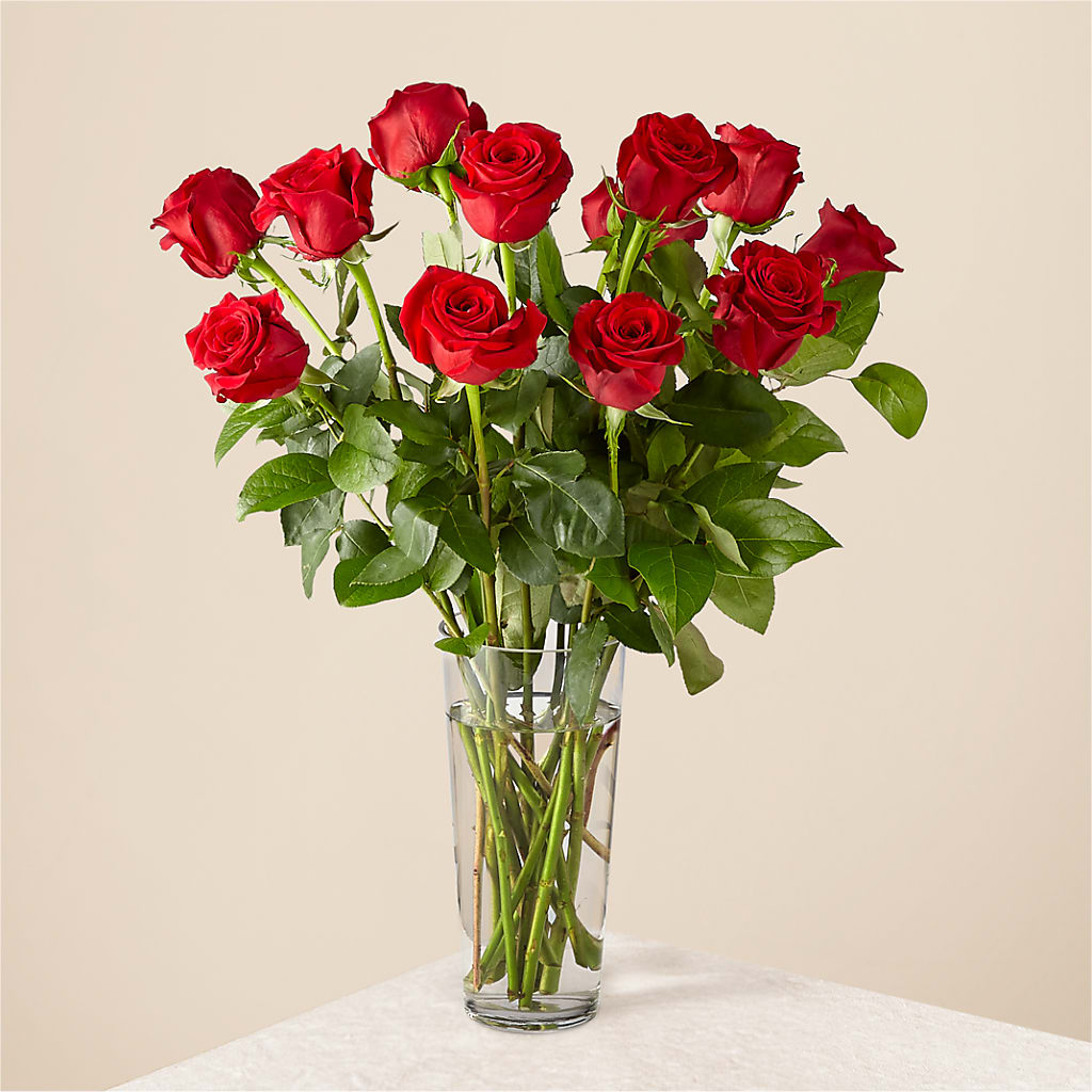 Long Stem Red Rose Bouquet – Abell Flower Shop, Abernathy TX