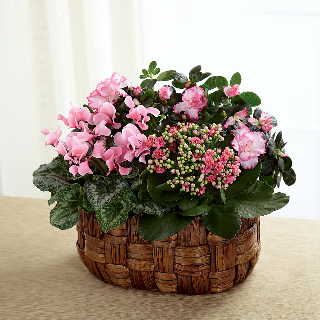 Pink Assortment – Abell Flower Shop, Abernathy TX