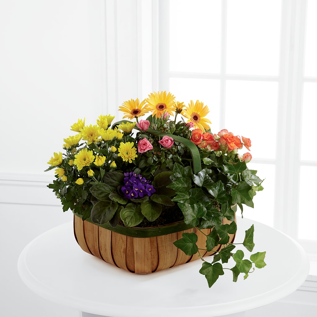 Gentle Blossoms Basket – Abell Flower Shop, Abernathy TX