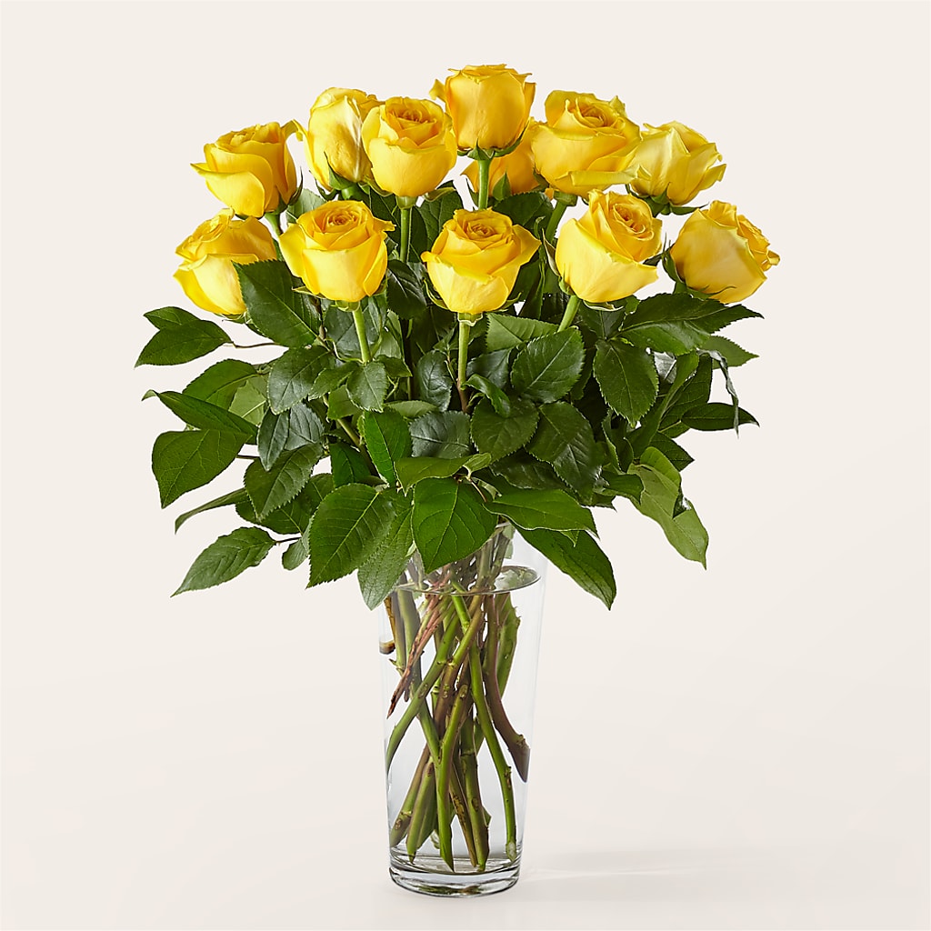 Long Stem Yellow Rose Bouquet – Abell Flower Shop, Abernathy TX