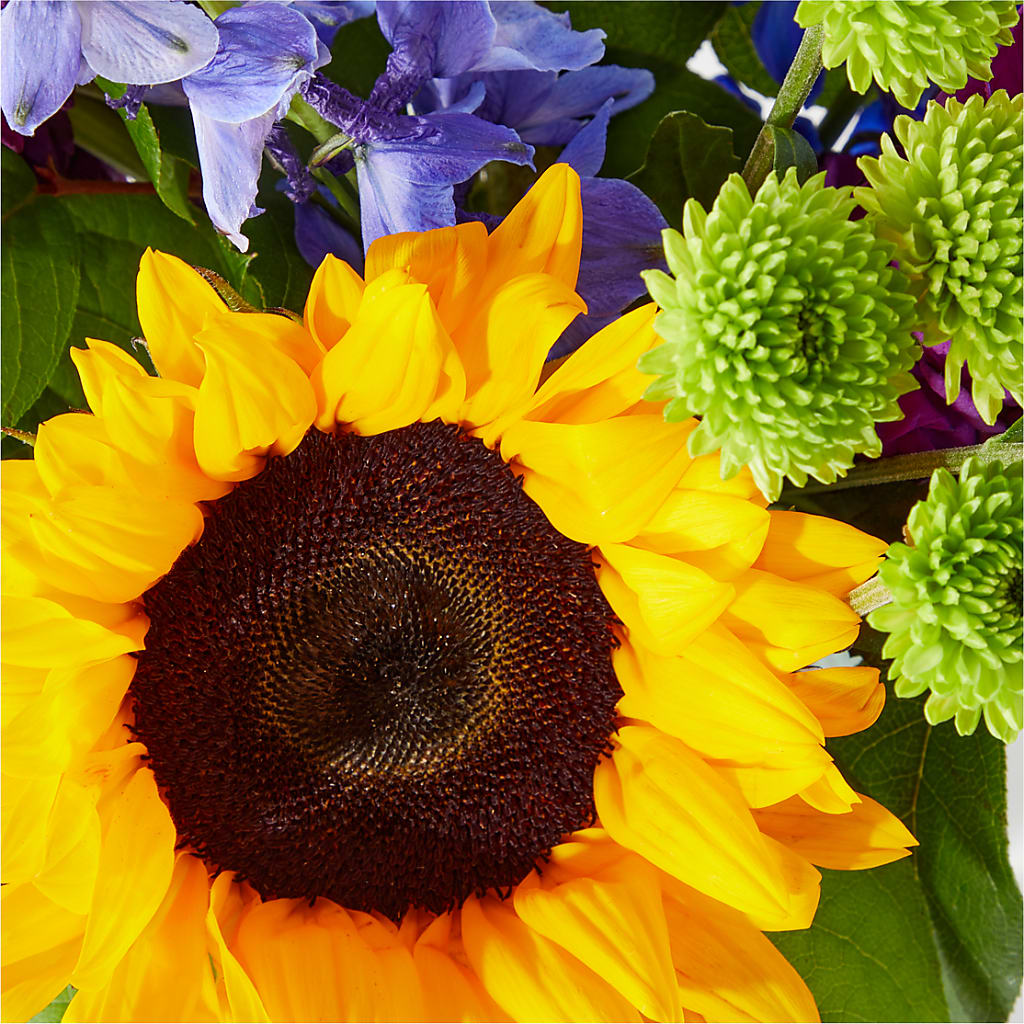 Catching Rays Bouquet – Abell Flower Shop, Abernathy TX