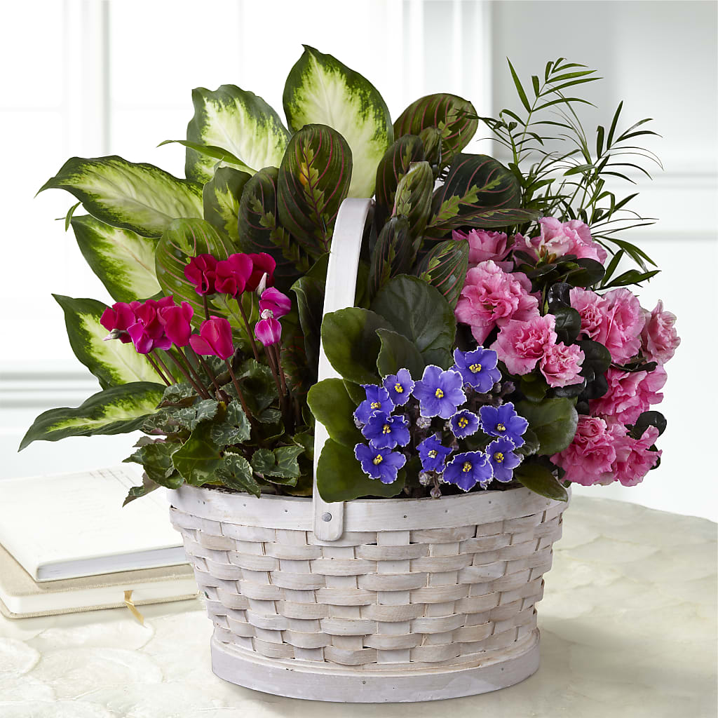 Peaceful Garden Planter – Abell Flower Shop, Abernathy TX