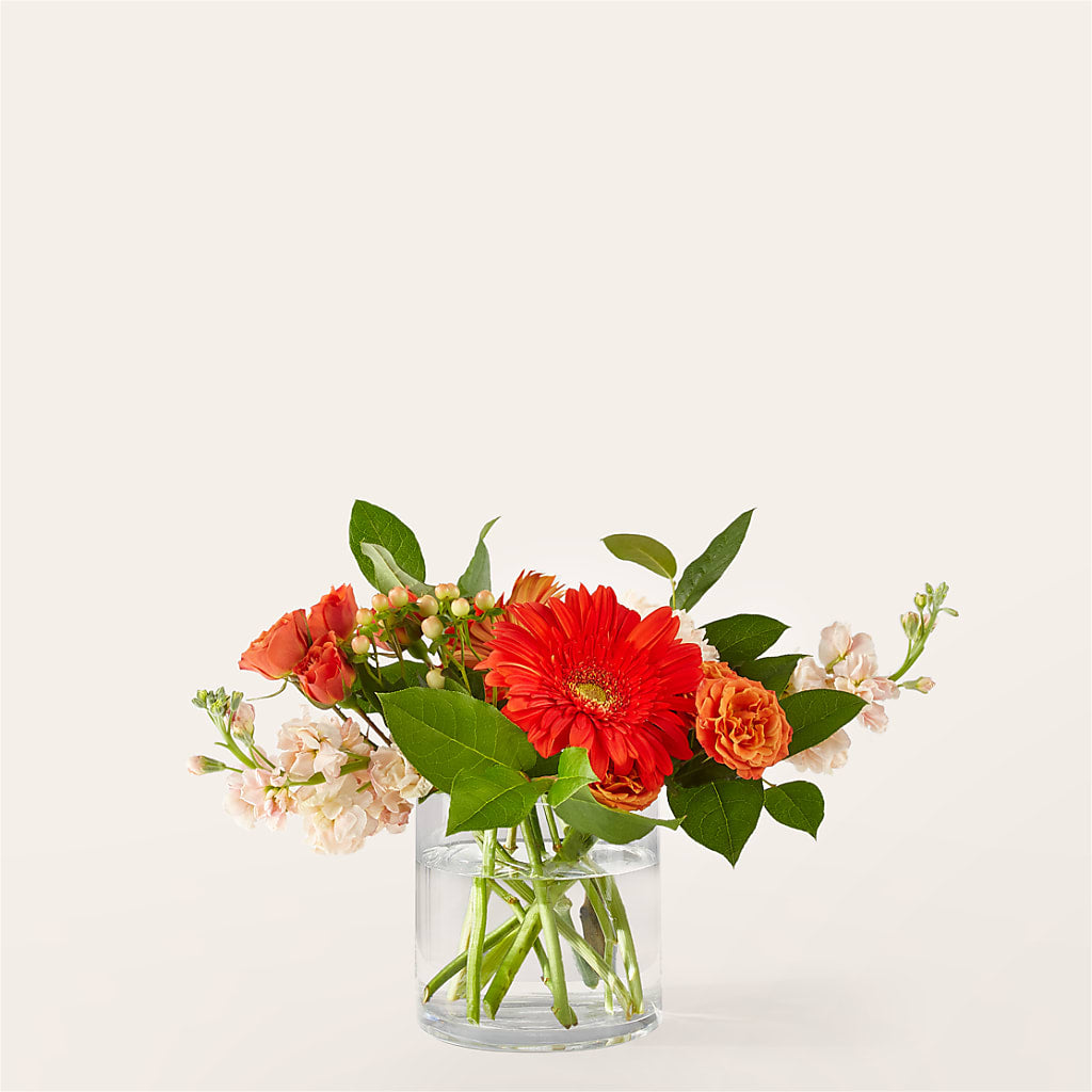 Paloma Please Bouquet – Abell Flower Shop, Abernathy TX