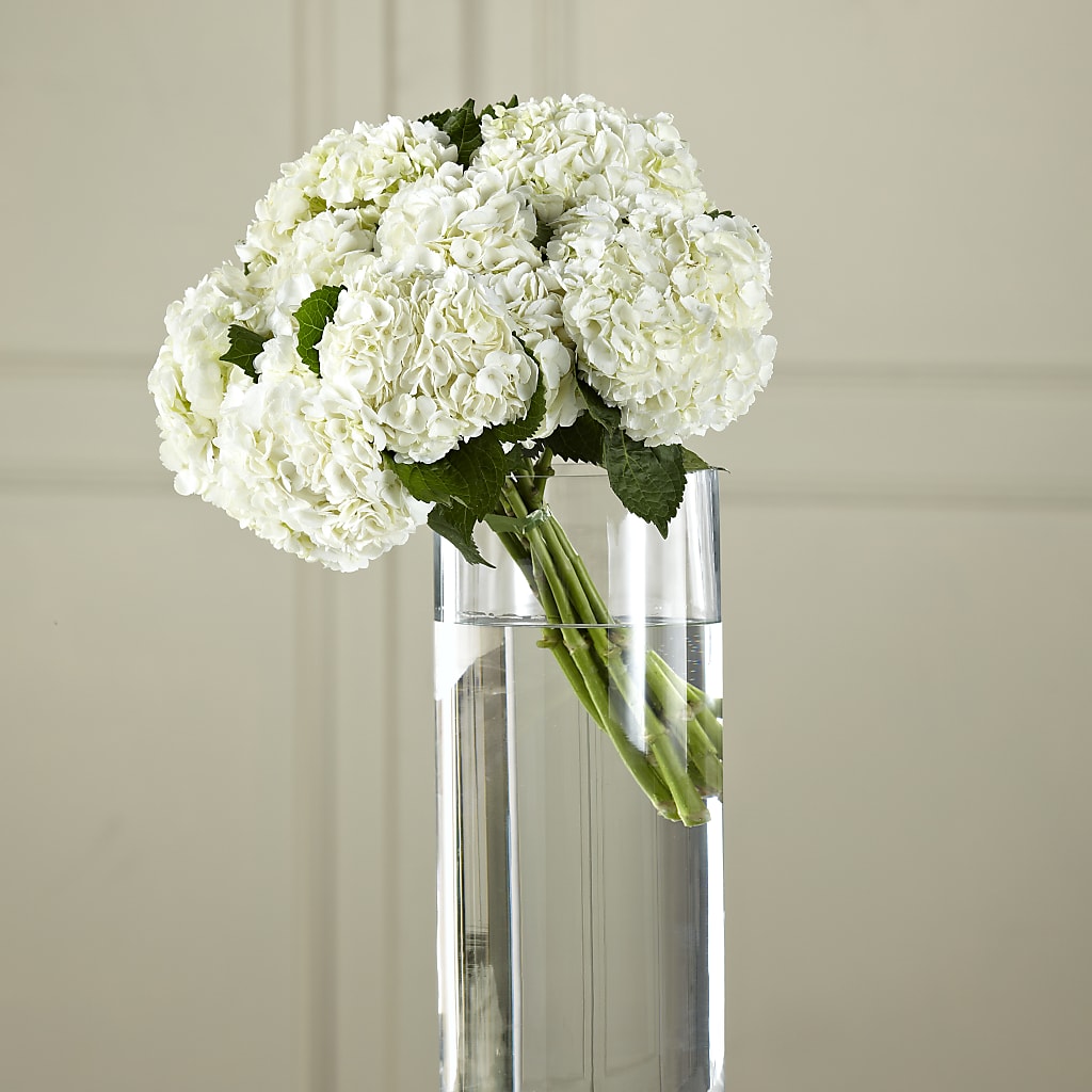 White Hydrangea Hand-Tied Bouquet – Abell Flower Shop, Abernathy TX
