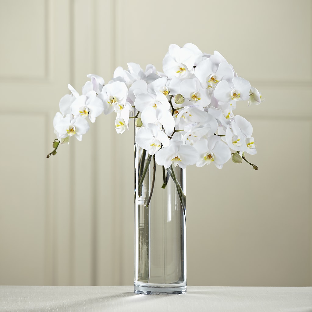 White Phalaenopsis Bouquet – Abell Flower Shop, Abernathy TX