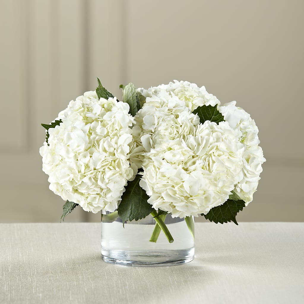 White Hydrangea Bouquet – Abell Flower Shop, Abernathy TX