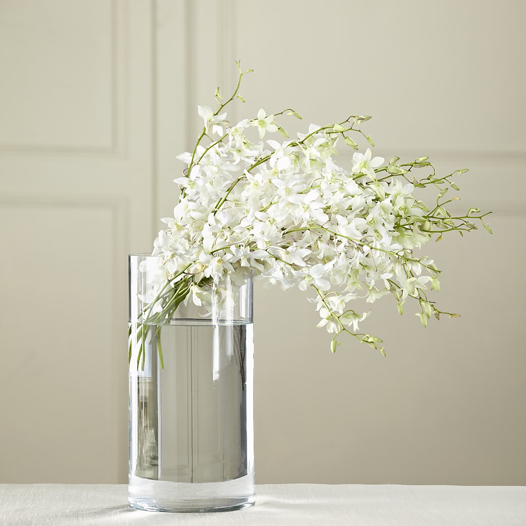 White Dendrobium Bouquet – Abell Flower Shop, Abernathy TX