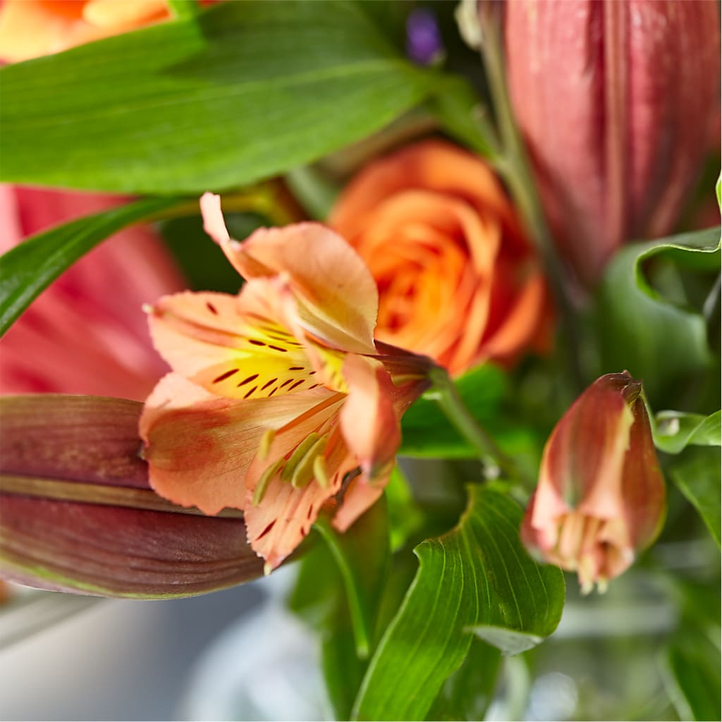 Bold & Bright – A Florist Original –  Abell Flower Shop, Abernathy TX