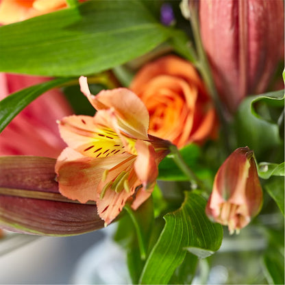 Bold & Bright – A Florist Original –  Abell Flower Shop, Abernathy TX
