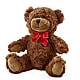 Adorable Plush Bear –  Abell Flower Shop, Abernathy TX