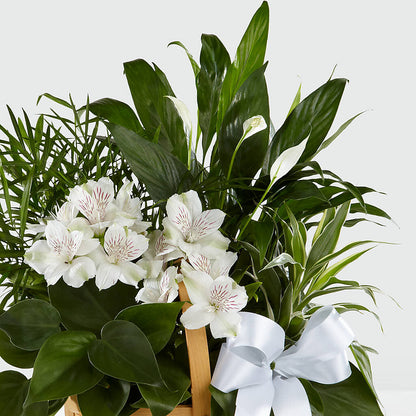 Peace & Serenity Dishgarden –  Abell Flower Shop, Abernathy TX