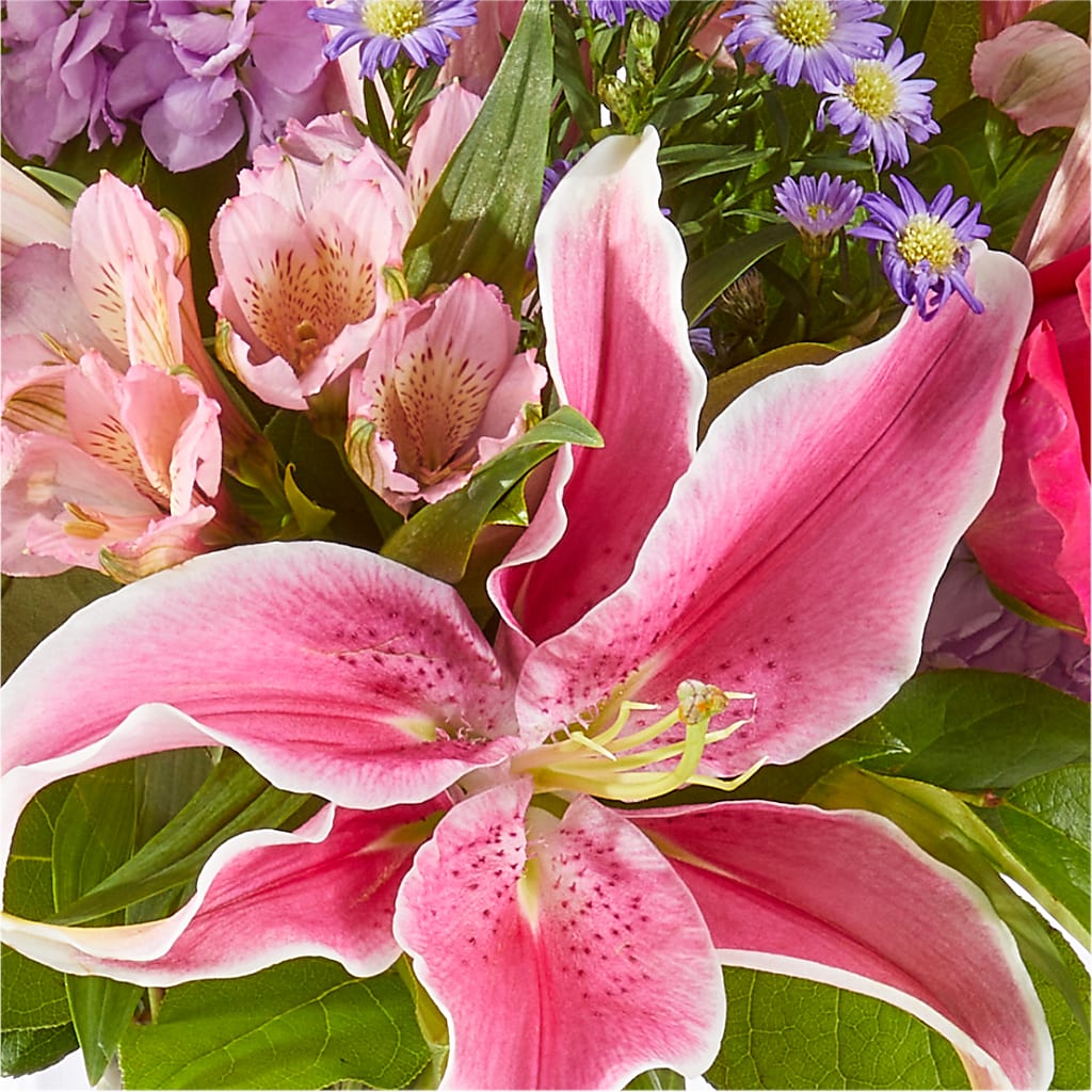 Written in the Stars Bouquet –  Abell Flower Shop, Abernathy TX