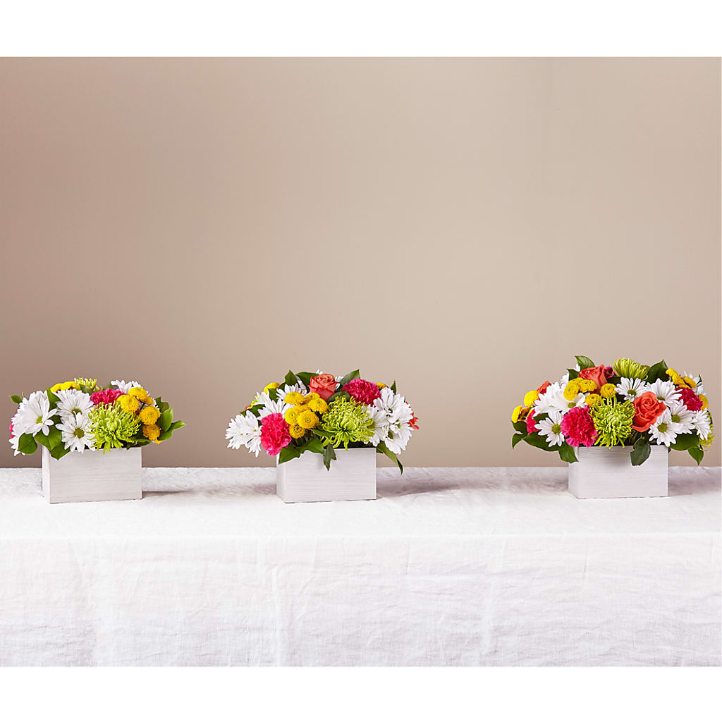 Sorbet Bouquet –  Abell Flower Shop, Abernathy TX