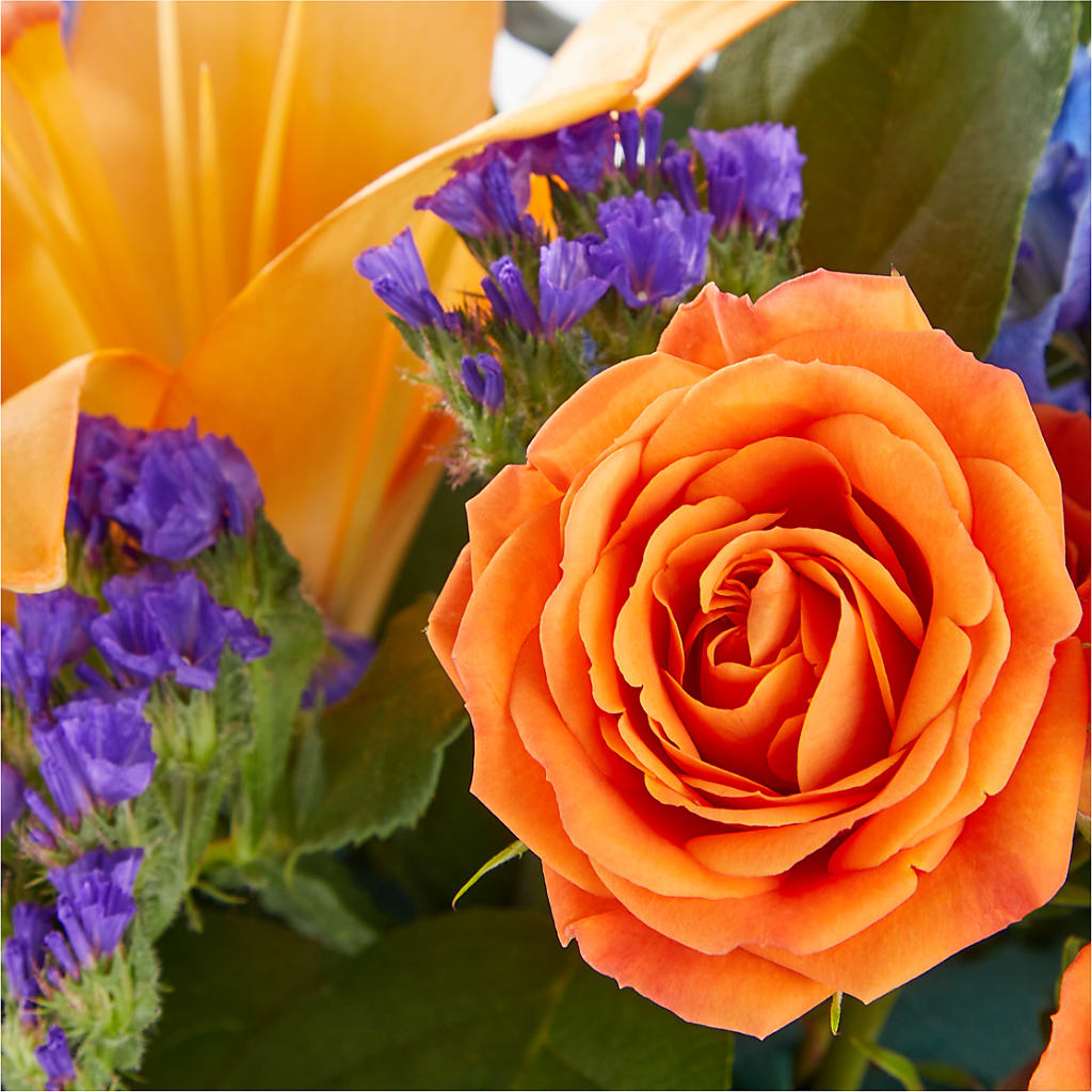 Radiant Citrus Box Bouquet –  Abell Flower Shop, Abernathy TX