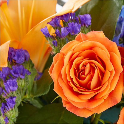 Radiant Citrus Box Bouquet –  Abell Flower Shop, Abernathy TX