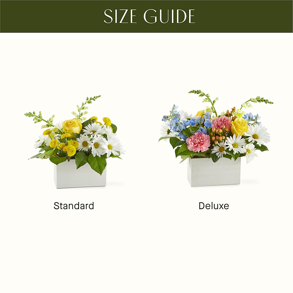 Sun Salutation Box Bouquet –  Abell Flower Shop, Abernathy TX