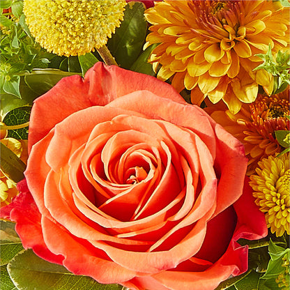 Gourdgeous Pumpkin –  Abell Flower Shop, Abernathy TX