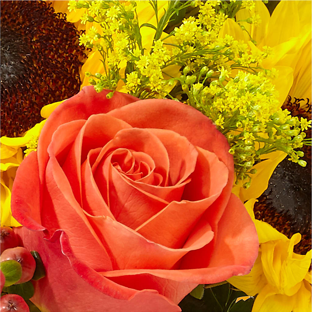 Pick of the Patch Pumpkin Bouquet –  Abell Flower Shop, Abernathy TX