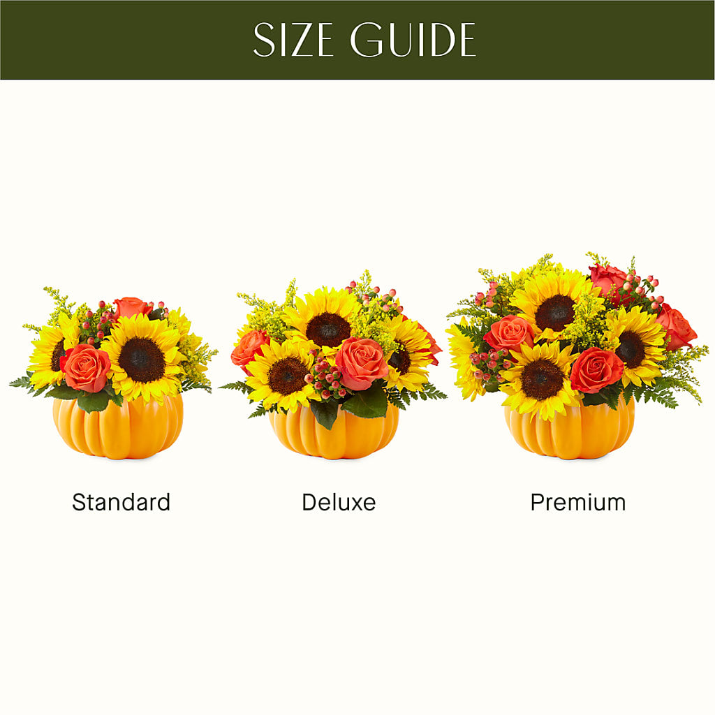 Pick of the Patch Pumpkin Bouquet –  Abell Flower Shop, Abernathy TX