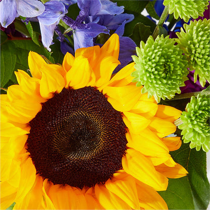Catching Rays Bouquet –  Abell Flower Shop, Abernathy TX