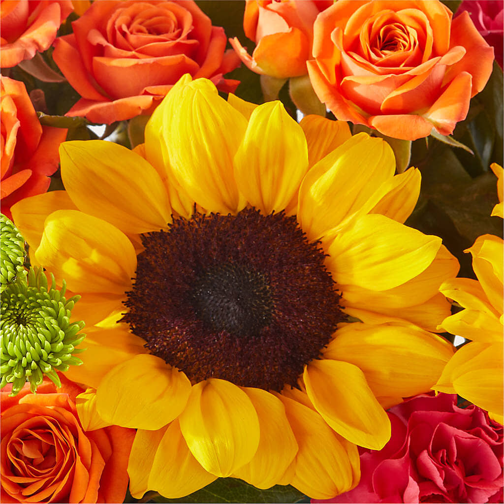 Sun-drenched Blooms Box Bouquet –  Abell Flower Shop, Abernathy TX