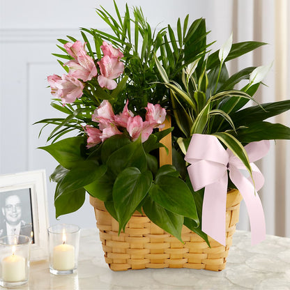 Living Spirit Dishgarden –  Abell Flower Shop, Abernathy TX