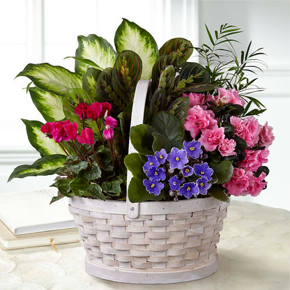 Peaceful Garden Planter –  Abell Flower Shop, Abernathy TX