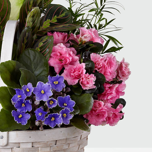 Peaceful Garden Planter –  Abell Flower Shop, Abernathy TX