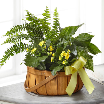 Always Dear Dishgarden –  Abell Flower Shop, Abernathy TX