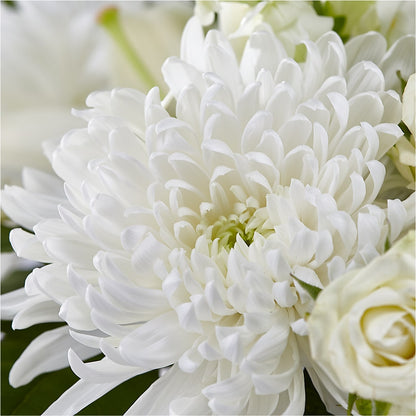 Classic Ivory – A Florist Original –  Abell Flower Shop, Abernathy TX