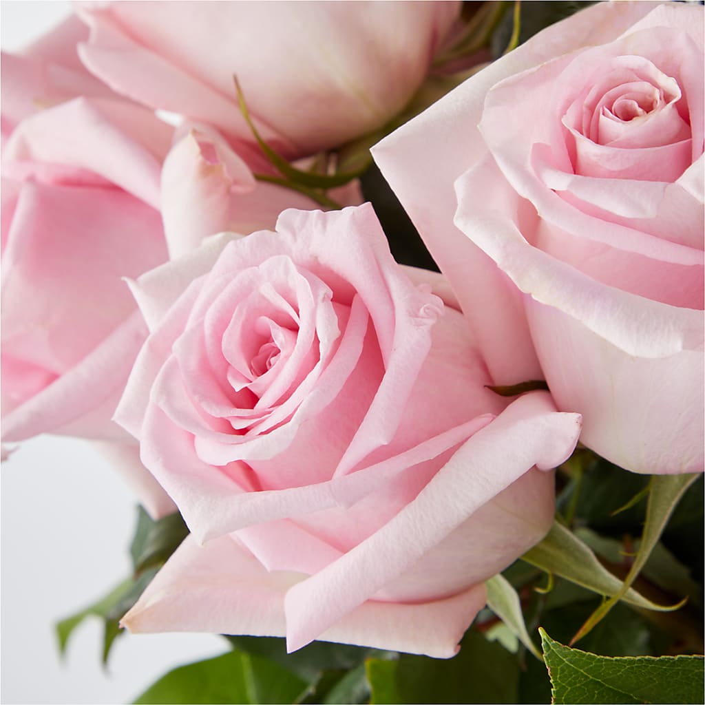 Picture Perfect Pink Rose Bouquet –  Abell Flower Shop, Abernathy TX