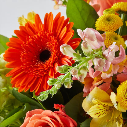 Autumn Sunshine Bouquet –  Abell Flower Shop, Abernathy TX
