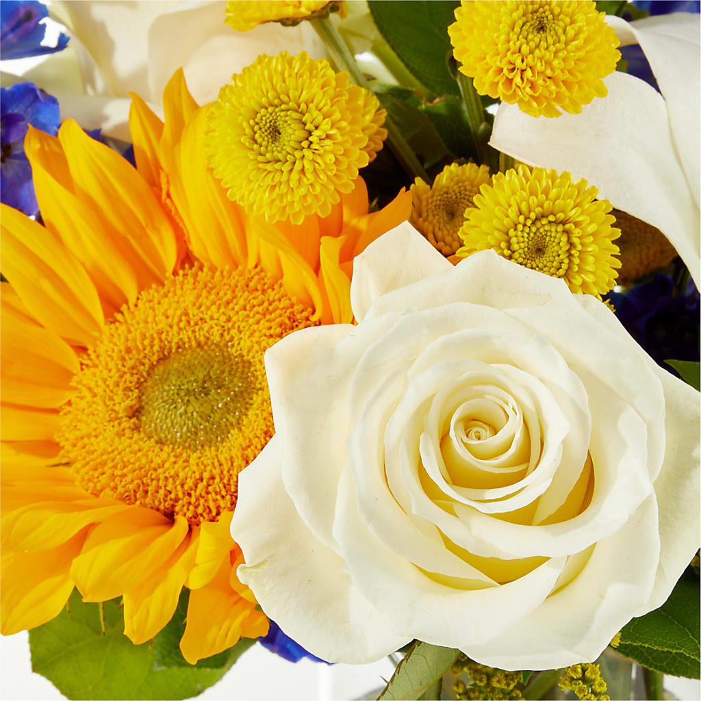 Stargazing Bouquet –  Abell Flower Shop, Abernathy TX