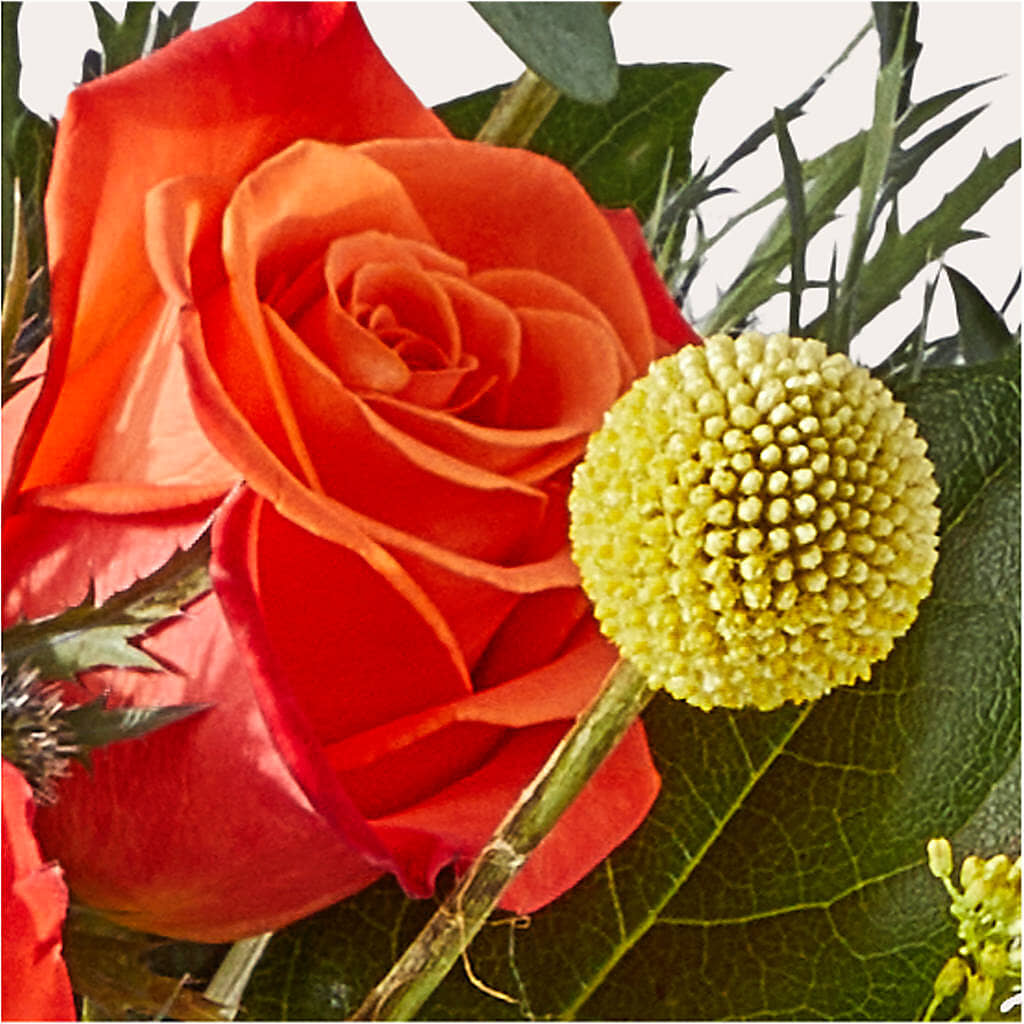 Disco Bouquet –  Abell Flower Shop, Abernathy TX