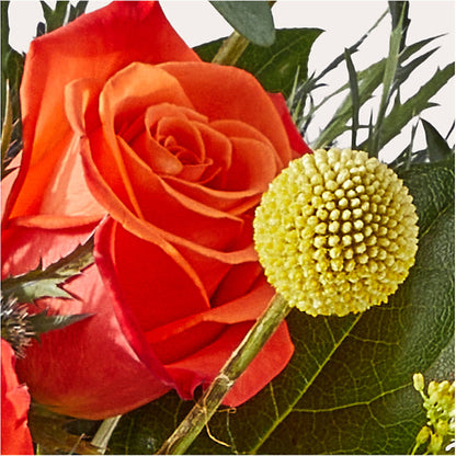Disco Bouquet –  Abell Flower Shop, Abernathy TX