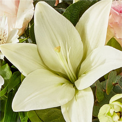 Ballet Slippers Bouquet –  Abell Flower Shop, Abernathy TX