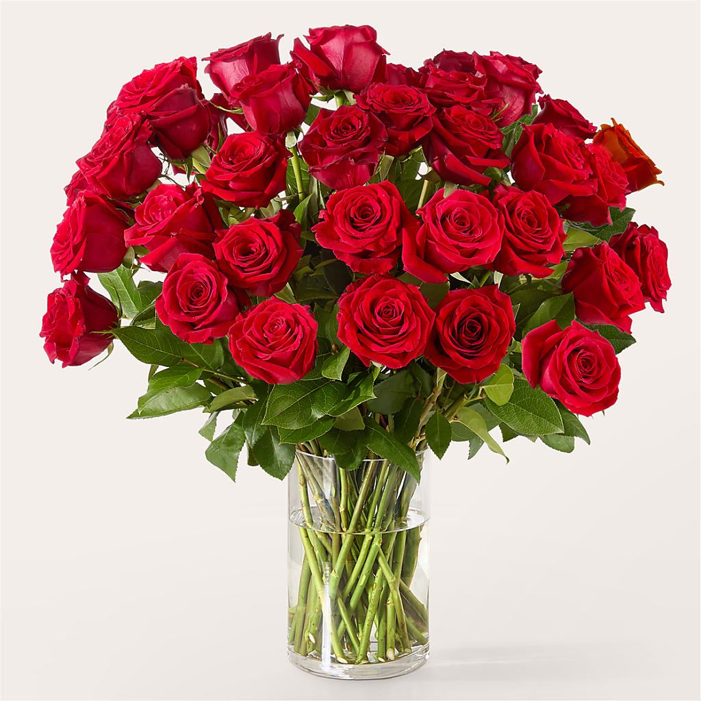 The One Red Rose Bouquet –  Abell Flower Shop, Abernathy TX