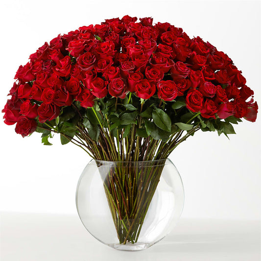 The Idealist –  Abell Flower Shop, Abernathy TX