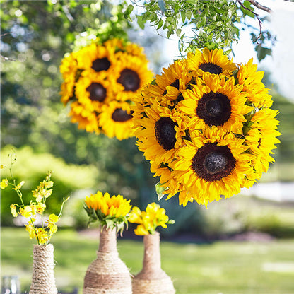 Sublime Garden Hanging Arrangement –  Abell Flower Shop, Abernathy TX