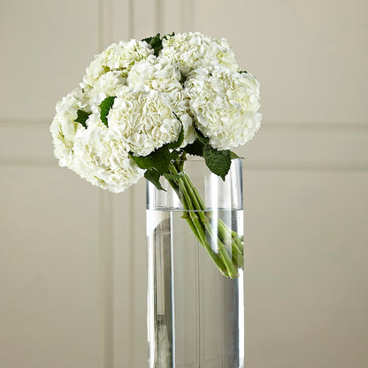 White Hydrangea Hand-Tied Bouquet –  Abell Flower Shop, Abernathy TX