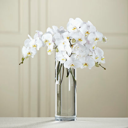 White Phalaenopsis Bouquet –  Abell Flower Shop, Abernathy TX