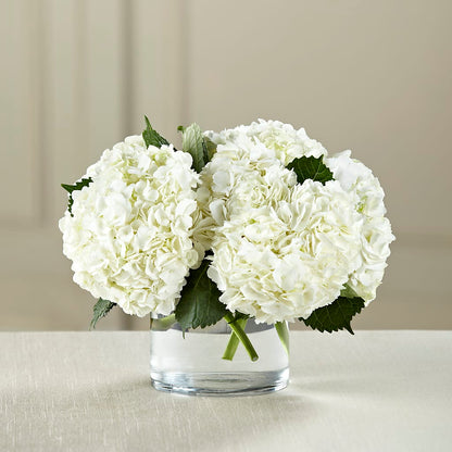 White Hydrangea Bouquet –  Abell Flower Shop, Abernathy TX
